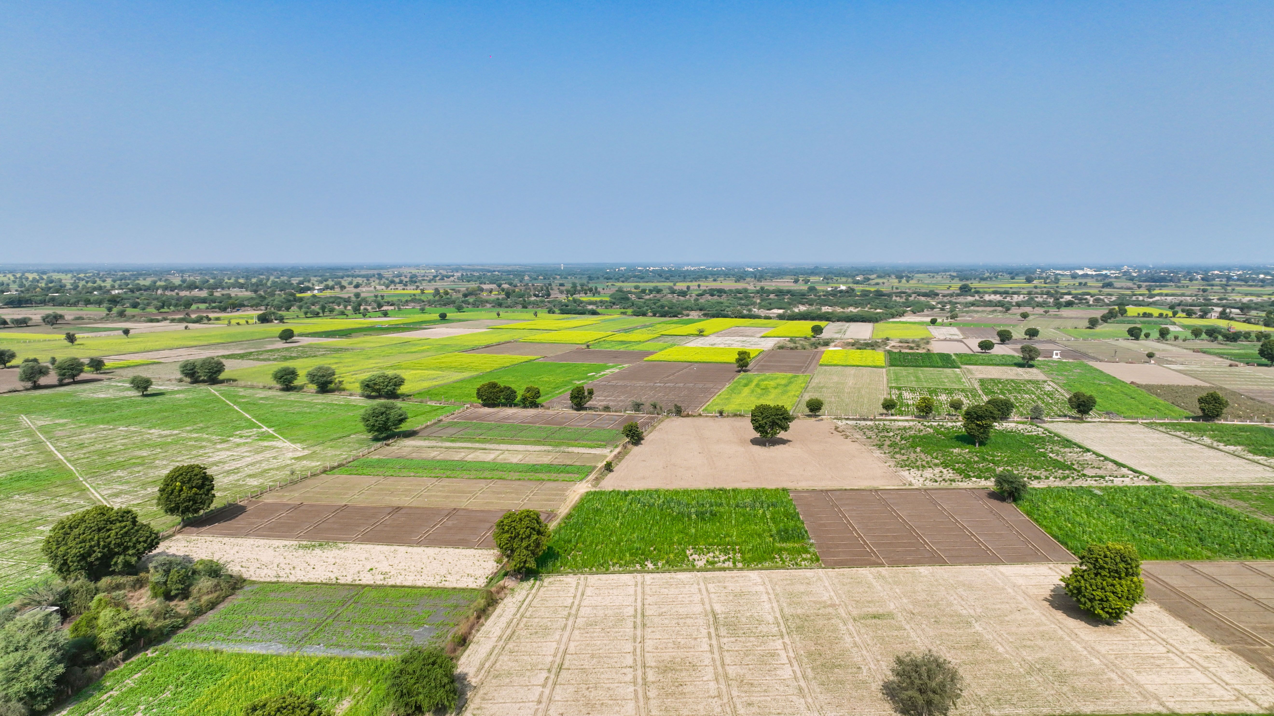 Residential Land